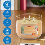 Citrus Champagne 11.5oz Candle